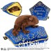 Noble Collection Grenouille en Chocolat avec Peluche Harry Potter avec Oreiller 36x33 5x10cm Marron Bleu Jaune - B07NQKB1HY